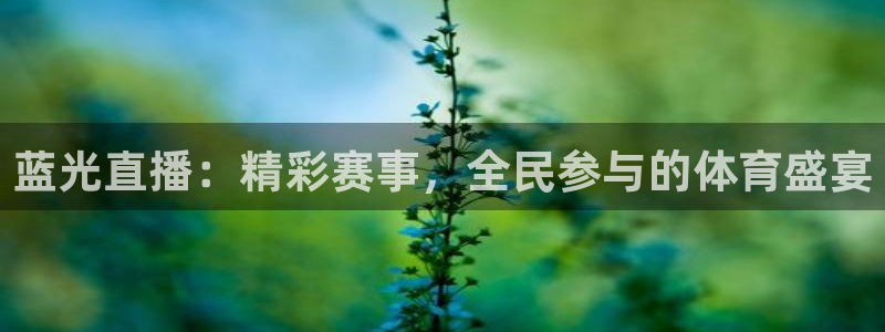 黑白直播篮球在线观看：蓝光直播：精彩赛事，全民参与的体育盛宴