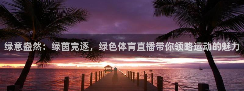 黑白直播nba在线直播：绿意盎然：绿茵竞逐，绿色体育直播带你领略运动的魅力