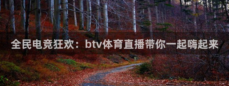 黑白体育app下载：全民电竞狂欢：btv体育直播带你一起嗨起来