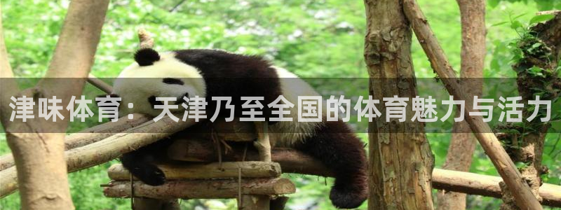 jrs黑白直播：津味体育：天津乃至全国的体育魅力与活力