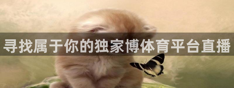 黑白免费体育直播：寻找属于你的独家博体育平台直播