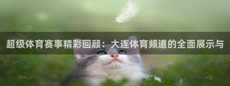 nba黑白直播观看：超级体育赛事精彩回顾：大连体育频道的全面展示与