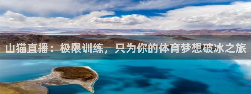 黑白直播体育nba直播下载：山猫直播：极限训练，只为你的体育梦想破冰之旅