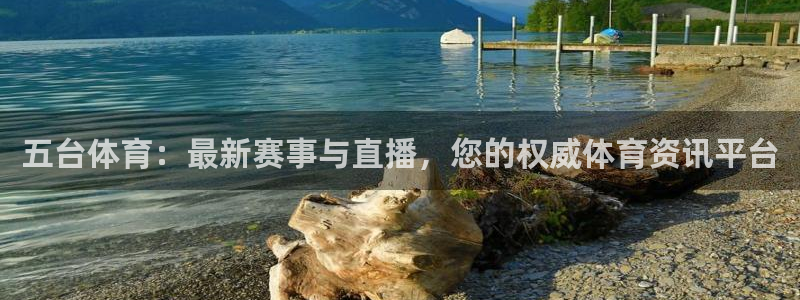 黑白直播篮球nba：五台体育：最新赛事与直播，您的权威体育资讯平台