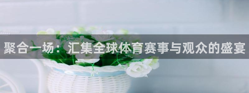 黑白jrs直播：聚合一场：汇集全球体育赛事与观众的盛宴
